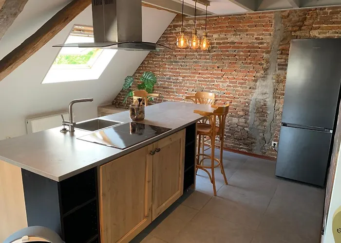 't Brouwershuis Bed & Breakfast 4*